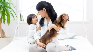 子育て中にペット 飼うメリットと子どもの 飼いたい の対応法 ペットのいろは